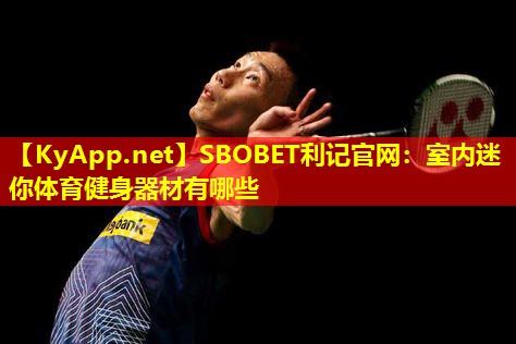 SBOBET利记官网：室内迷你体育健身器材有哪些