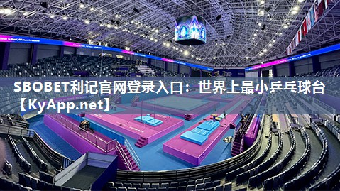 SBOBET利记官网登录入口：世界上最小乒乓球台