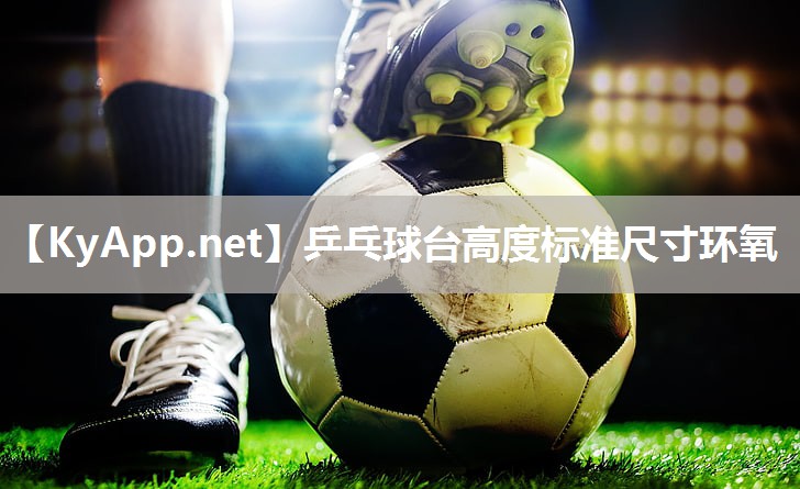 乒乓球台高度标准尺寸环氧