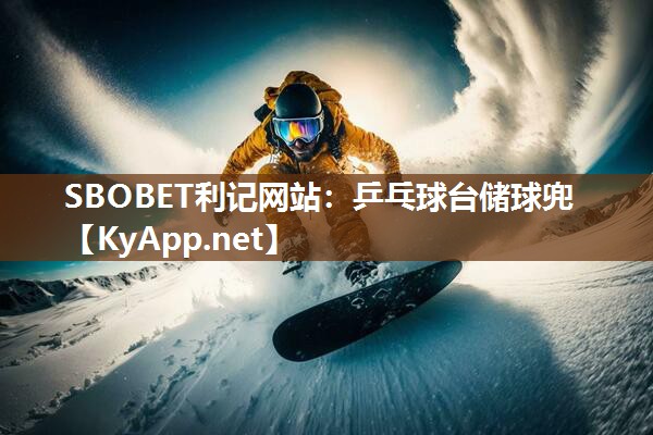 SBOBET利记网站：乒乓球台储球兜