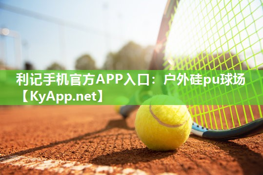 利记手机官方APP入口：户外硅pu球场