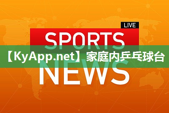 家庭内乒乓球台