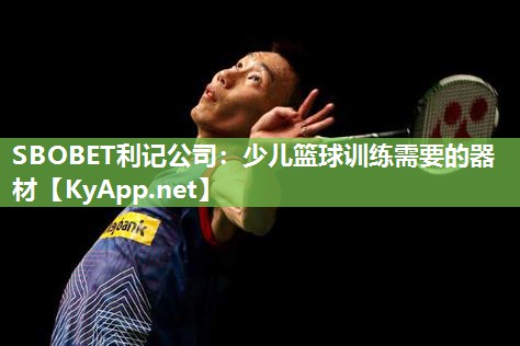 SBOBET利记公司：少儿篮球训练需要的器材