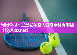 利记公司：吴堡老年室内健身器材有哪些
