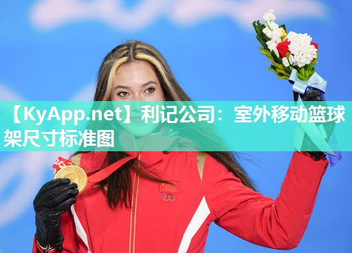 利记公司：室外移动篮球架尺寸标准图
