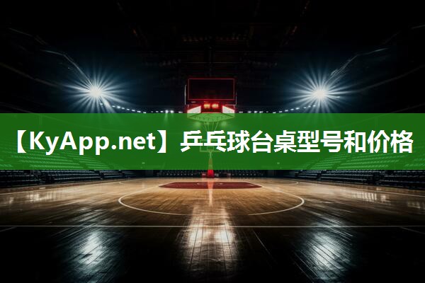 乒乓球台桌型号和价格