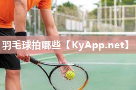 羽毛球拍哪些