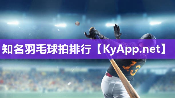 知名羽毛球拍排行