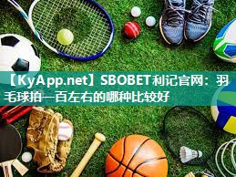 SBOBET利记官网：羽毛球拍一百左右的哪种比较好