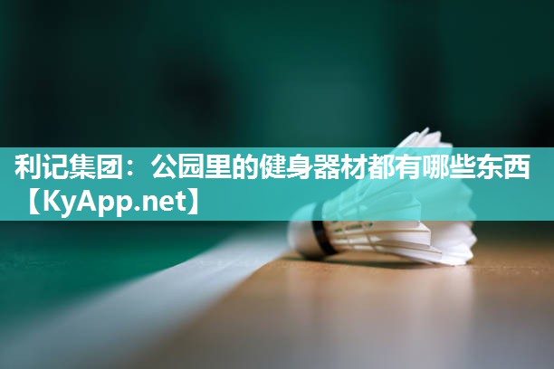 利记集团：公园里的健身器材都有哪些东西