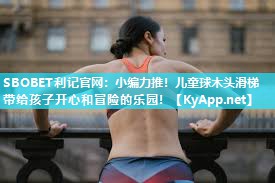 SBOBET利记官网：小编力推！儿童球木头滑梯带给孩子开心和冒险的乐园！