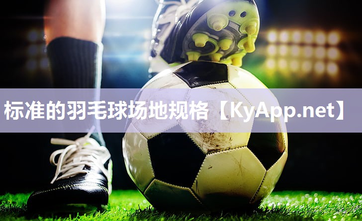 标准的羽毛球场地规格