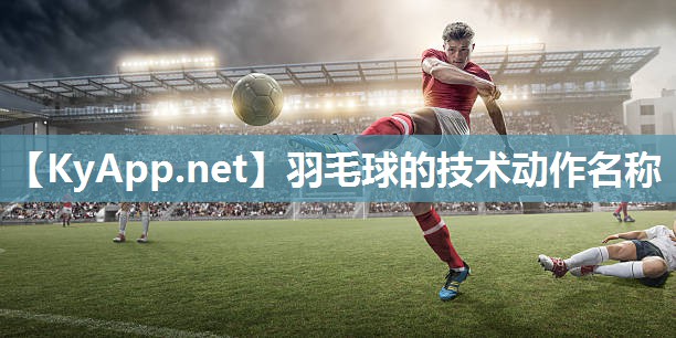 羽毛球的技术动作名称
