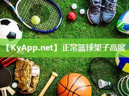 正常篮球架子高度