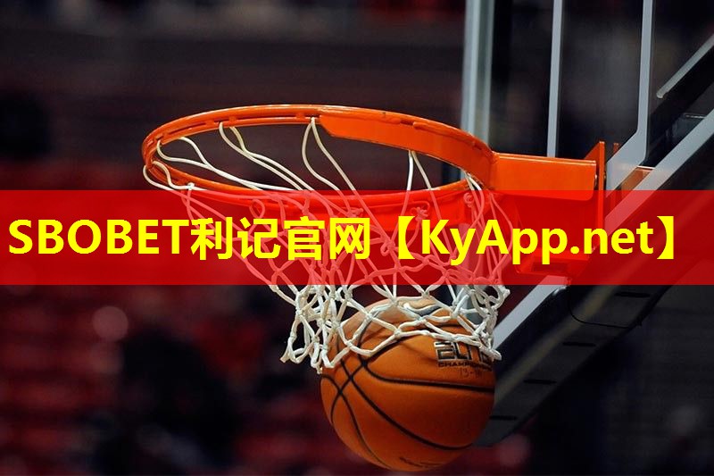 可隐藏乒乓球台 可隐藏乒乓球台
