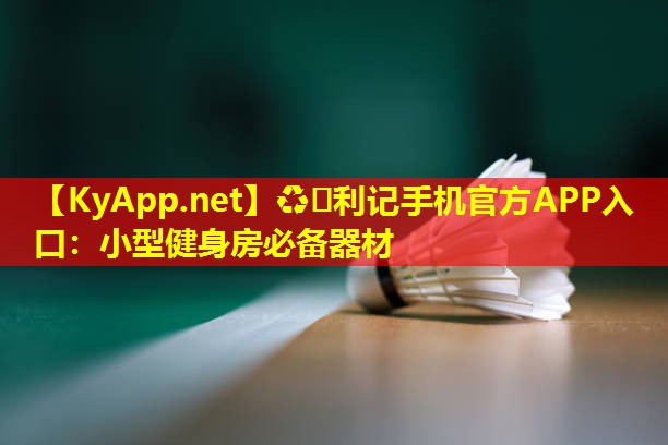 小型健身房必备器材 小型健身房必备器材