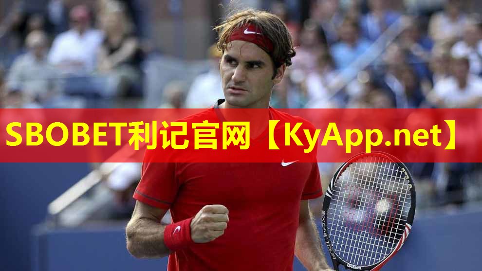 乒乓球台上方灯光 乒乓球台上方灯光
