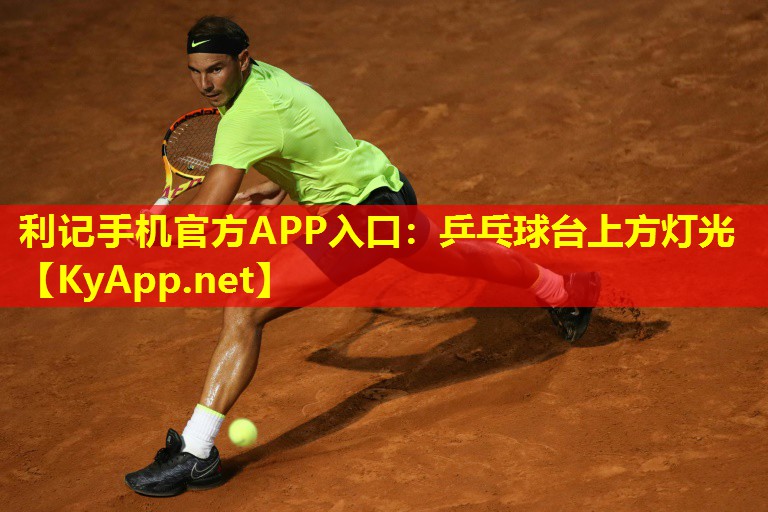 乒乓球台上方灯光 乒乓球台上方灯光