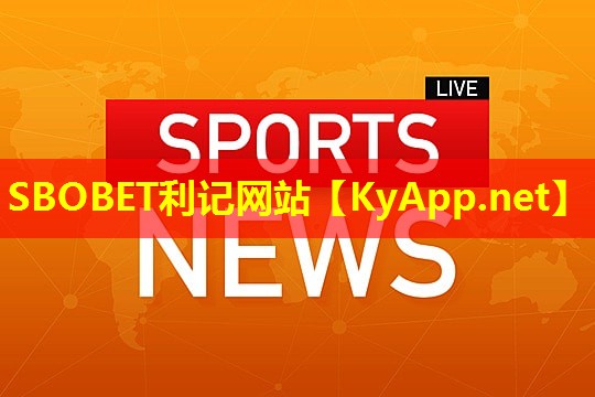 篮球体能训练器材 篮球体能训练器材