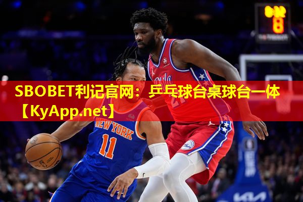 乒乓球台桌球台一体 乒乓球台桌球台一体