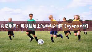 可以挂墙上的乒乓球台面 可以挂墙上的乒乓球台面