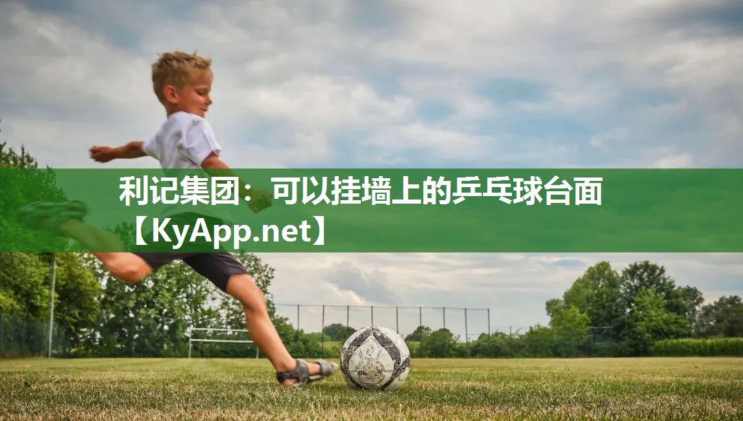 可以挂墙上的乒乓球台面 可以挂墙上的乒乓球台面