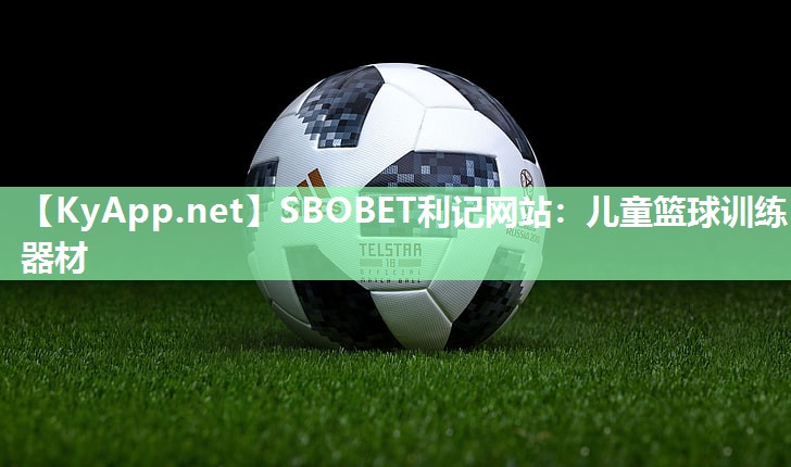 儿童篮球训练器材 儿童篮球训练器材