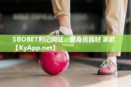 健身房器材 家庭 健身房器材 家庭