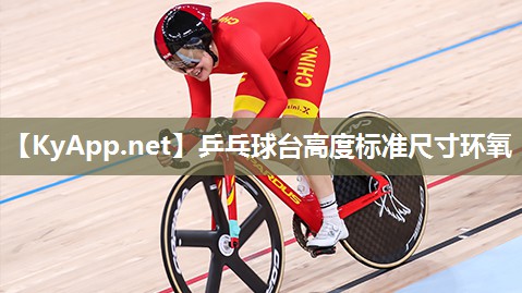 乒乓球台高度标准尺寸环氧 乒乓球台高度标准尺寸环氧