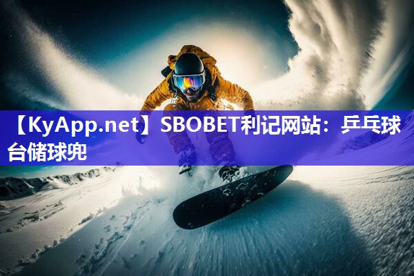 乒乓球台储球兜 乒乓球台储球兜