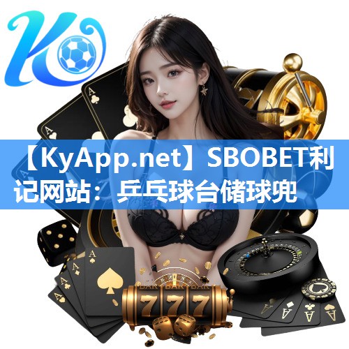 乒乓球台储球兜 乒乓球台储球兜
