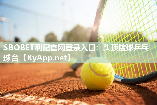 头顶篮球乒乓球台 头顶篮球乒乓球台