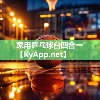 家用乒乓球台四合一 家用乒乓球台四合一