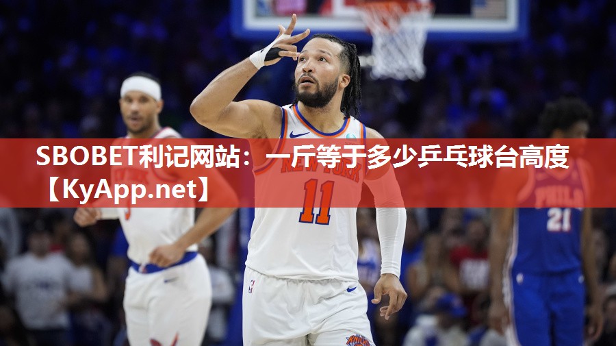 一斤等于多少乒乓球台高度 一斤等于多少乒乓球台高度