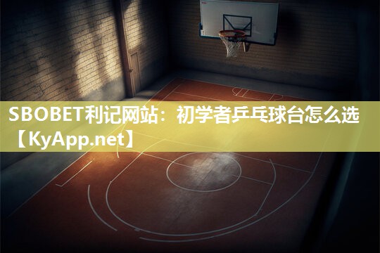 初学者乒乓球台怎么选