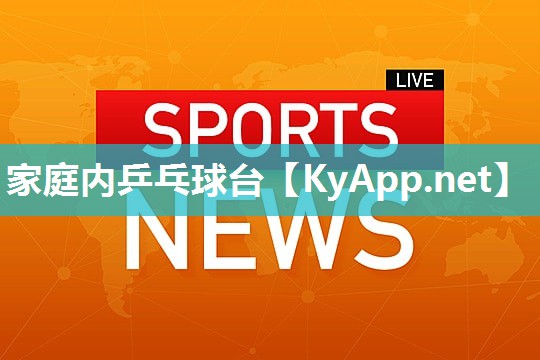 家庭内乒乓球台