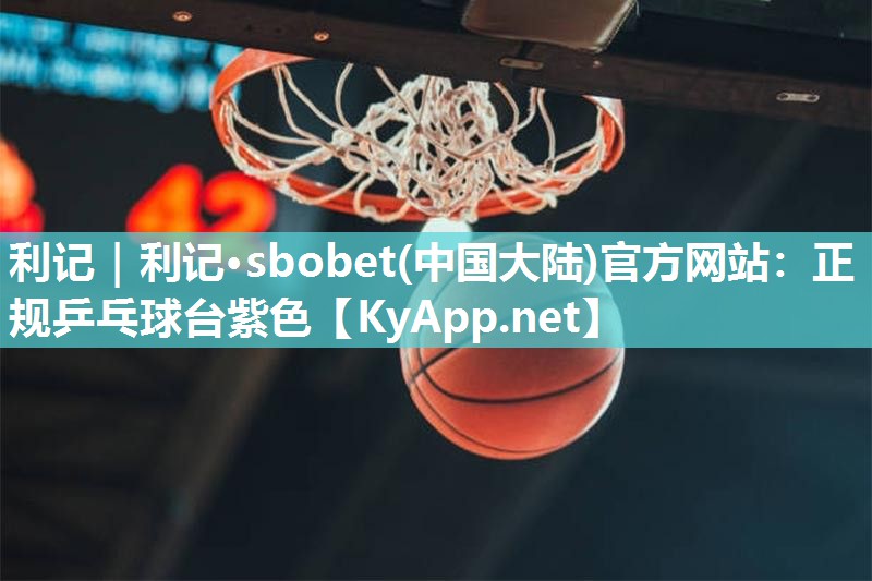 正规乒乓球台紫色 正规乒乓球台紫色