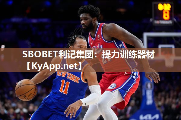 提力训练器材 提力训练器材