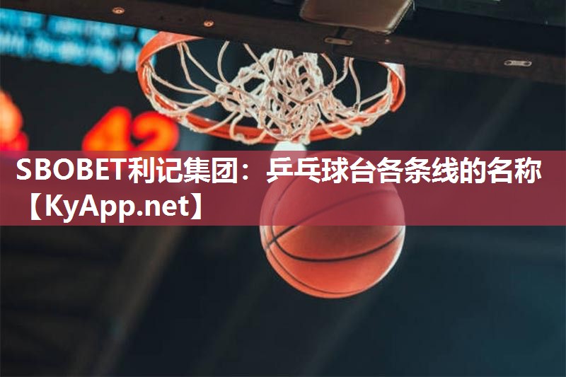 乒乓球台各条线的名称 乒乓球台各条线的名称