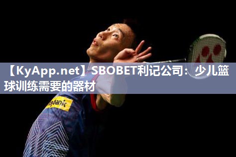 少儿篮球训练需要的器材 少儿篮球训练需要的器材