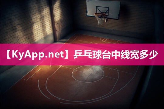 乒乓球台中线宽多少 乒乓球台中线宽多少