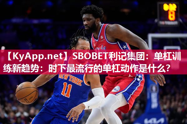 单杠训练新趋势:时下最流行的单杠动作是什么? 单杠训练新趋势:时下最流行的单杠动作是什么?