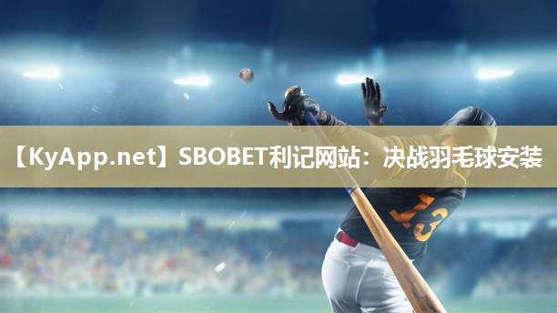 决战羽毛球安装 决战羽毛球安装