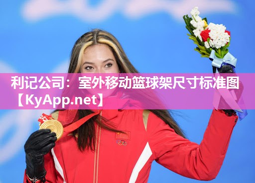 室外移动篮球架尺寸标准图 室外移动篮球架尺寸标准图