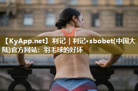 羽毛球的好坏