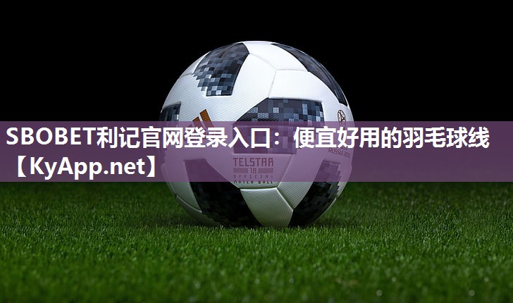 便宜好用的羽毛球线 便宜好用的羽毛球线