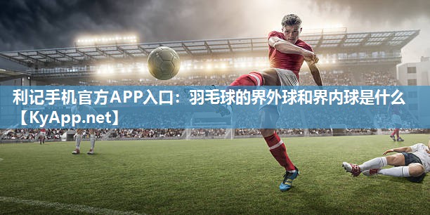 羽毛球的界外球和界内球是什么 羽毛球的界外球和界内球是什么