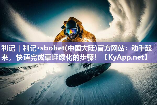 动手起来,快速完成草坪绿化的步骤! 动手起来,快速完成草坪绿化的步骤!