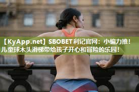 小编力推!儿童球木头滑梯带给孩子开心和冒险的乐园! 小编力推!儿童球木头滑梯带给孩子开心和冒险的乐园!
