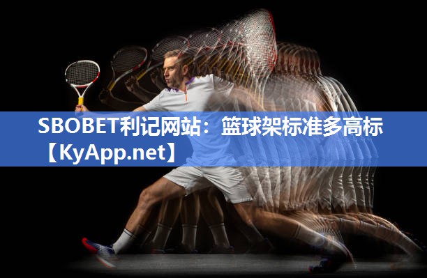 篮球架标准多高标 篮球架标准多高标